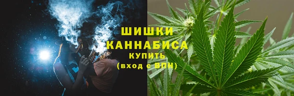 прущие грибы Абдулино