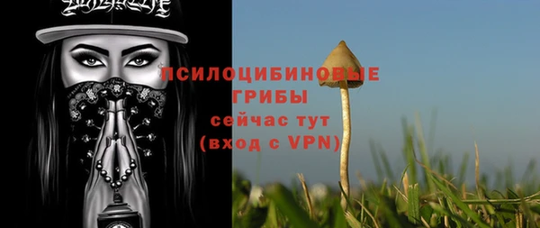 прущие грибы Абдулино
