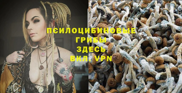 spice Абинск