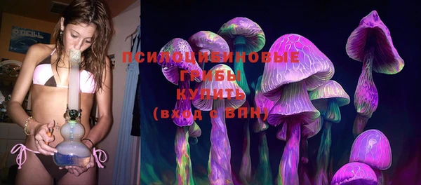 прущие грибы Абдулино