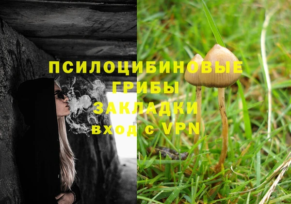 spice Абинск