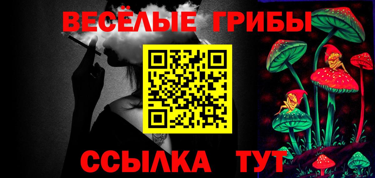 Великий Новгород  Галлюциногенные грибы Cubensis  Вход с VPN 